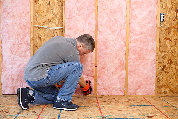 Types of Insulation We Offer in Clemson University, SC