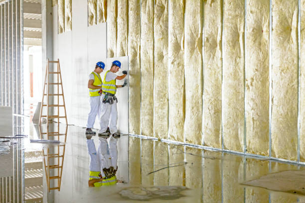 Best Eco-Friendly or Green Insulation Solutions  in Clemson University, SC